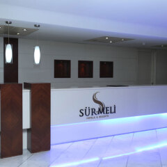 Surmeli Ankara Hotel интерьер отеля фото 2