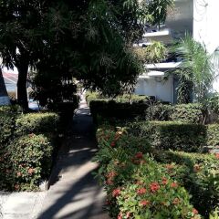 Hotel La Jolla фото 2