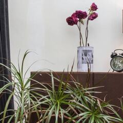 Отель Unique, Quirky 1 Bed in Belsize Park интерьер отеля