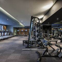 Отель Sheraton Seoul Palace Gangnam Hotel Южная Корея, Сеул - отзывы, цены и фото номеров - забронировать отель Sheraton Seoul Palace Gangnam Hotel онлайн фитнесс-зал