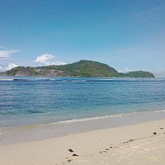 Отель Jamalac Bungalows Сейшельские острова, Остров Маэ - отзывы, цены и фото номеров - забронировать отель Jamalac Bungalows онлайн пляж фото 2