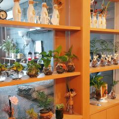 Отель Gallery View Residences Южная Корея, Сеул - отзывы, цены и фото номеров - забронировать отель Gallery View Residences онлайн развлечения