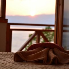 Paradise Nest in Ohrid, Macedonia from 74$, photos, reviews - zenhotels.com balcony
