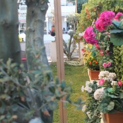 Lila Boutique Hotel Турция, Дикили - отзывы, цены и фото номеров - забронировать отель Lila Boutique Hotel онлайн фото 16