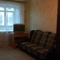 Гостиница Central appartment1 в Архангельске отзывы, цены и фото номеров - забронировать гостиницу Central appartment1 онлайн Архангельск комната для гостей фото 3