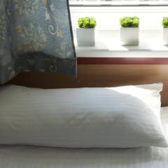 Отель Ecotel Vilnius с домашними животными