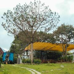 Отель Dalat Train Villa Далат