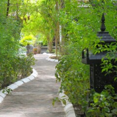 Thazin Garden Hotel фото 15
