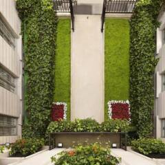 Отель Melia Paris Notre-Dame фото 9