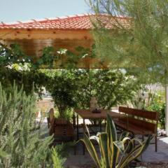 Отель Petra Bed & Breakfast Иордания, Вади-Муса - отзывы, цены и фото номеров - забронировать отель Petra Bed & Breakfast онлайн фото 5
