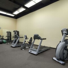 Отель Ramada Plaza by Wyndham Toronto Downtown Канада, Торонто - отзывы, цены и фото номеров - забронировать отель Ramada Plaza by Wyndham Toronto Downtown онлайн фитнесс-зал