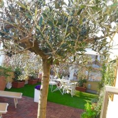 Отель B&B Al Civico фото 2
