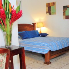 Casa Lima Bed & Breakfast in San Jose, Costa Rica from 39$, photos, reviews - zenhotels.com guestroom