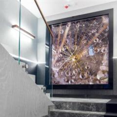 Апартаменты My Story Sopot Apartments Сопот интерьер отеля фото 2