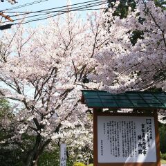 Umikaoru Yado Hotel New Matsumi Беппу фото 5