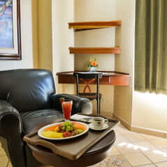 Hotel Plaza Del General в номере фото 2