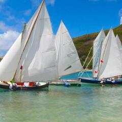 Отель Spring House Bequia фото 4