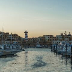 Отель Mayan Monkey Los Cabos - Hostel - Adults Only Мексика, Золотая зона Марина - отзывы, цены и фото номеров - забронировать отель Mayan Monkey Los Cabos - Hostel - Adults Only онлайн приотельная территория фото 2