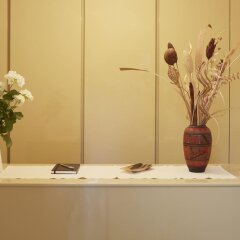 Отель Antistress Affittacamere Озимо спа