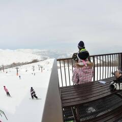 Hakuba Park Hotel Хакуба приотельная территория фото 2