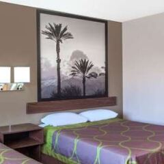 Отель Super 8 by Wyndham Canoga Park США, Лос-Анджелес - отзывы, цены и фото номеров - забронировать отель Super 8 by Wyndham Canoga Park онлайн комната для гостей фото 3