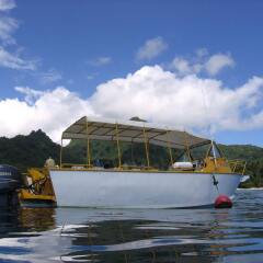 Отель Kosrae Nautilus Resort Федеративные Штаты Микронезии, Косраэ - отзывы, цены и фото номеров - забронировать отель Kosrae Nautilus Resort онлайн приотельная территория