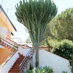 Отель Sweet Home B&B Фонтане-Бьянке фото 16