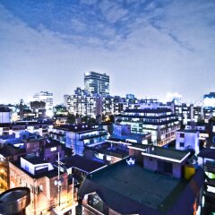 Отель Kimchee Gangnam Guesthouse
