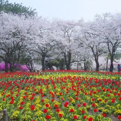 Отель In Bloom Beppu Беппу помещение для мероприятий