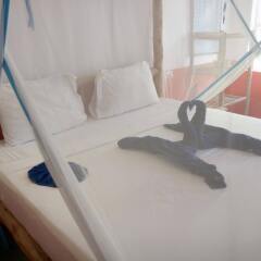Отель Blue Reef Sport and Fishing Lodge & Bungalows комната для гостей фото 4