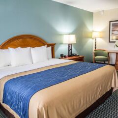 Отель Comfort Inn On the Ocean комната для гостей фото 3