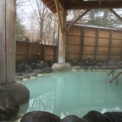 Okunikko Kogen Hotel Никко бассейн