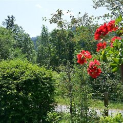 Отель Abnaki, Chalet Швейцария, Гштад - отзывы, цены и фото номеров - забронировать отель Abnaki, Chalet онлайн фото 5