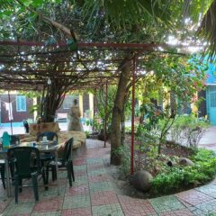 B&B The Annex in Bahar Dar, Ethiopia from 141$, photos, reviews - zenhotels.com meals