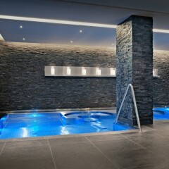 Hotel Schweizerhof Bern & THE SPA бассейн фото 2