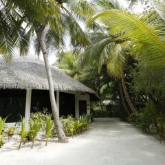 Отель Kihaad Maldives фото 8