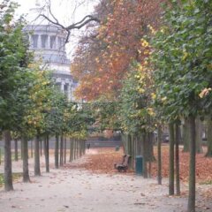 Отель B&B A Cote du Cinquantenaire Бельгия, Брюссель - отзывы, цены и фото номеров - забронировать отель B&B A Cote du Cinquantenaire онлайн