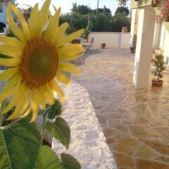 Отель Art B&B Joyful People Альберобелло фото 12