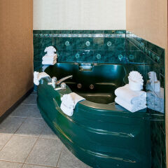 Отель Comfort Inn Airport Блумингтон спа