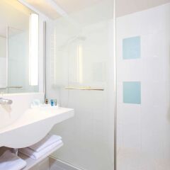 Отель Novotel Toulouse Centre Compans Caffarelli Франция, Тулуза - отзывы, цены и фото номеров - забронировать отель Novotel Toulouse Centre Compans Caffarelli онлайн ванная фото 2