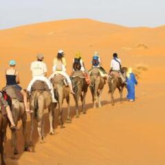 Отель Kasbah Tamariste Марокко, Мерзуга - отзывы, цены и фото номеров - забронировать отель Kasbah Tamariste онлайн помещение для мероприятий