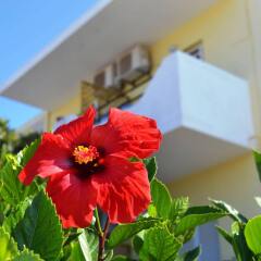 Отель Yiannis Apartments Греция, Калимнос - отзывы, цены и фото номеров - забронировать отель Yiannis Apartments онлайн балкон