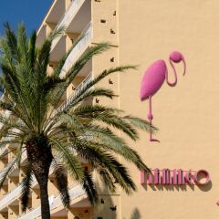 Gran Hotel Flamingo пляж