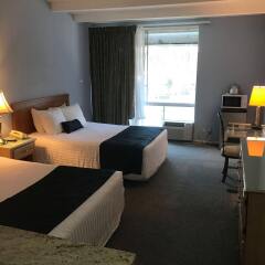 Отель Highland Gardens Hotel США, Лос-Анджелес - отзывы, цены и фото номеров - забронировать отель Highland Gardens Hotel онлайн комната для гостей фото 5