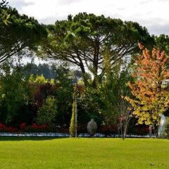 Отель Cevoli Country Resort Лари спортивное сооружение