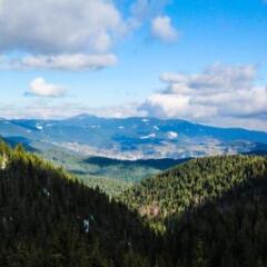 Отель Aparthotel Pine Hills Pamporovo Пампорово фото 5