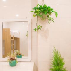 Thanh Thanh Hotel Далат интерьер отеля