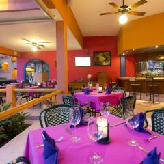 Отель Villa del Palmar Beach Resort and Spa, Puerto Vallarta гостиничный бар