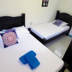 Отель Hostal Pajara Pinta комната для гостей фото 3