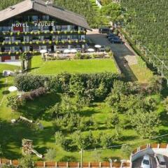 Отель Paulus Apartments Италия, Чермес - отзывы, цены и фото номеров - забронировать отель Paulus Apartments онлайн фото 7
